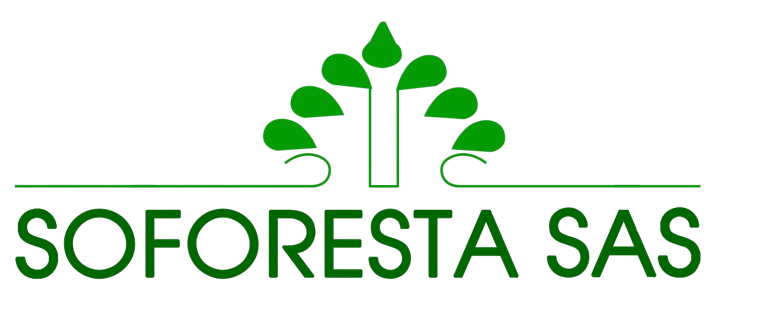 Logo Patrocinador